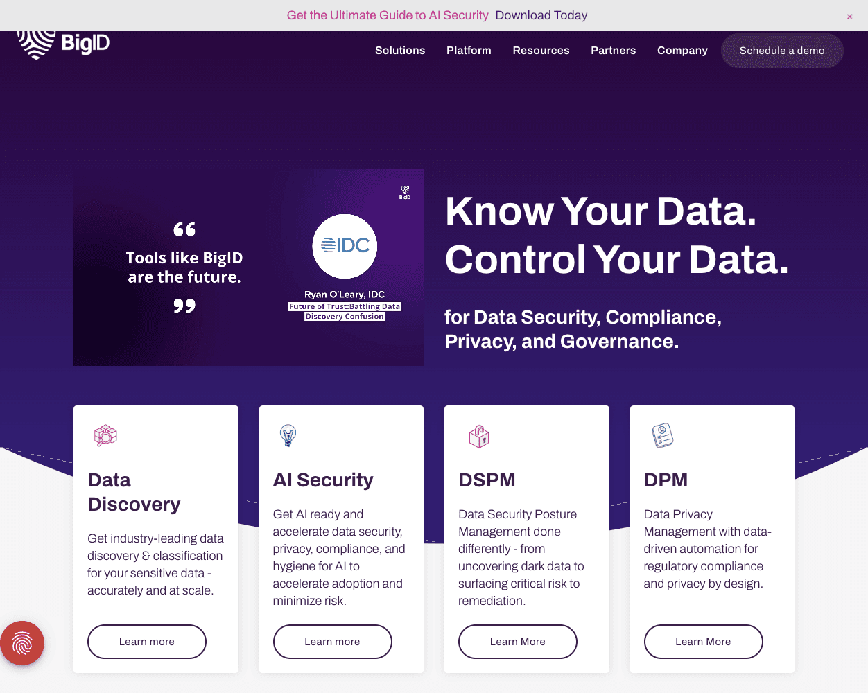 Screenshot of BigID Website