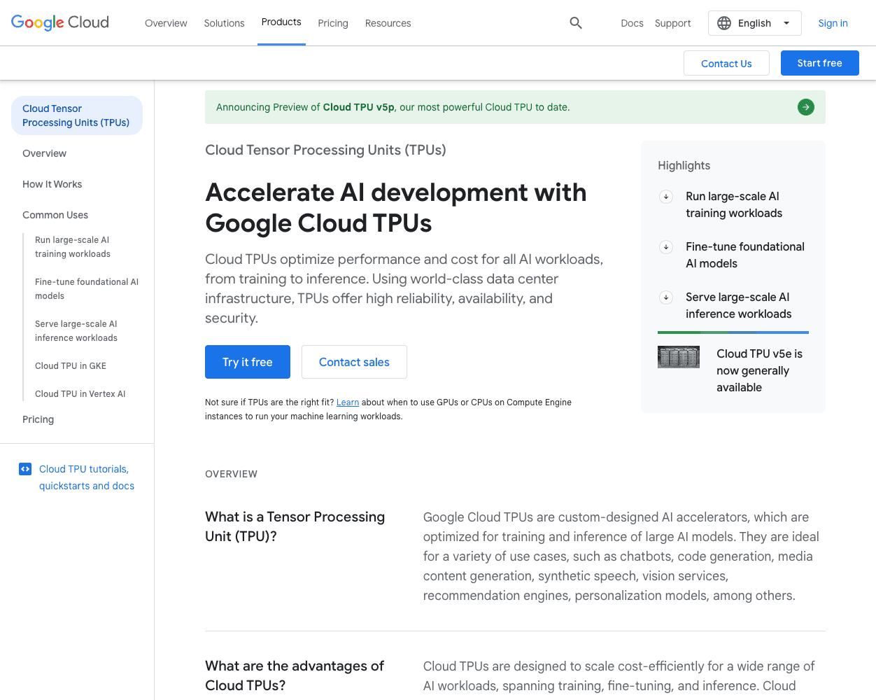 Screenshot of Google TPU Website