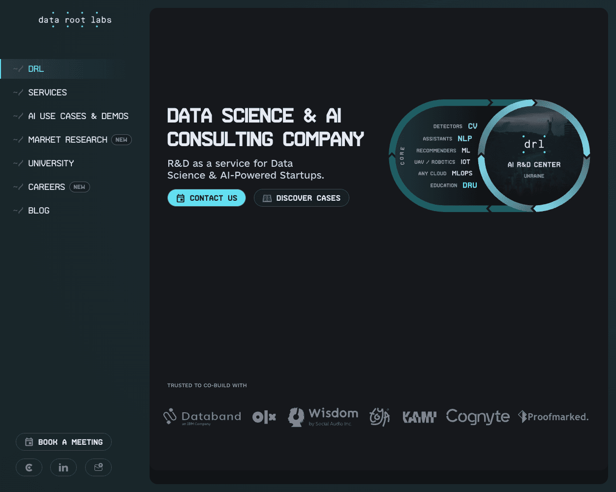 Screenshot of DataRootLabs Website