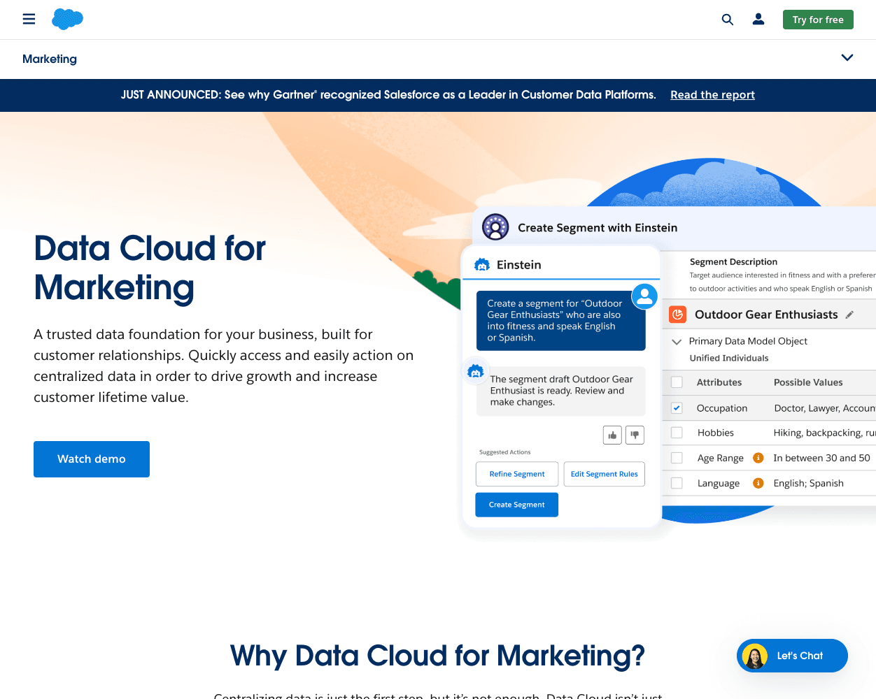 Screenshot of Salesforce CDP Website