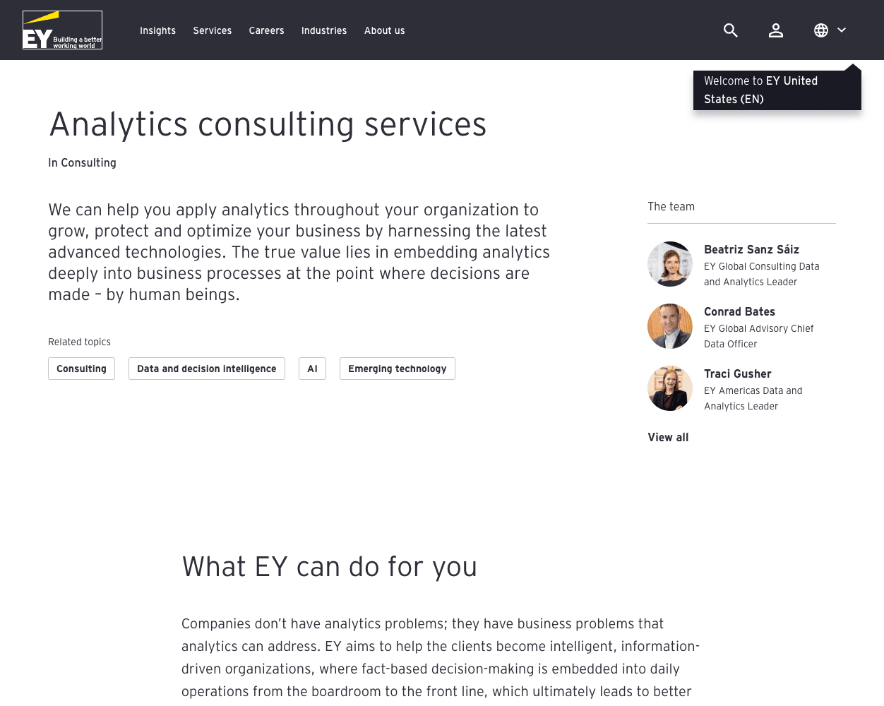 Screenshot of EY Consulting Services Website