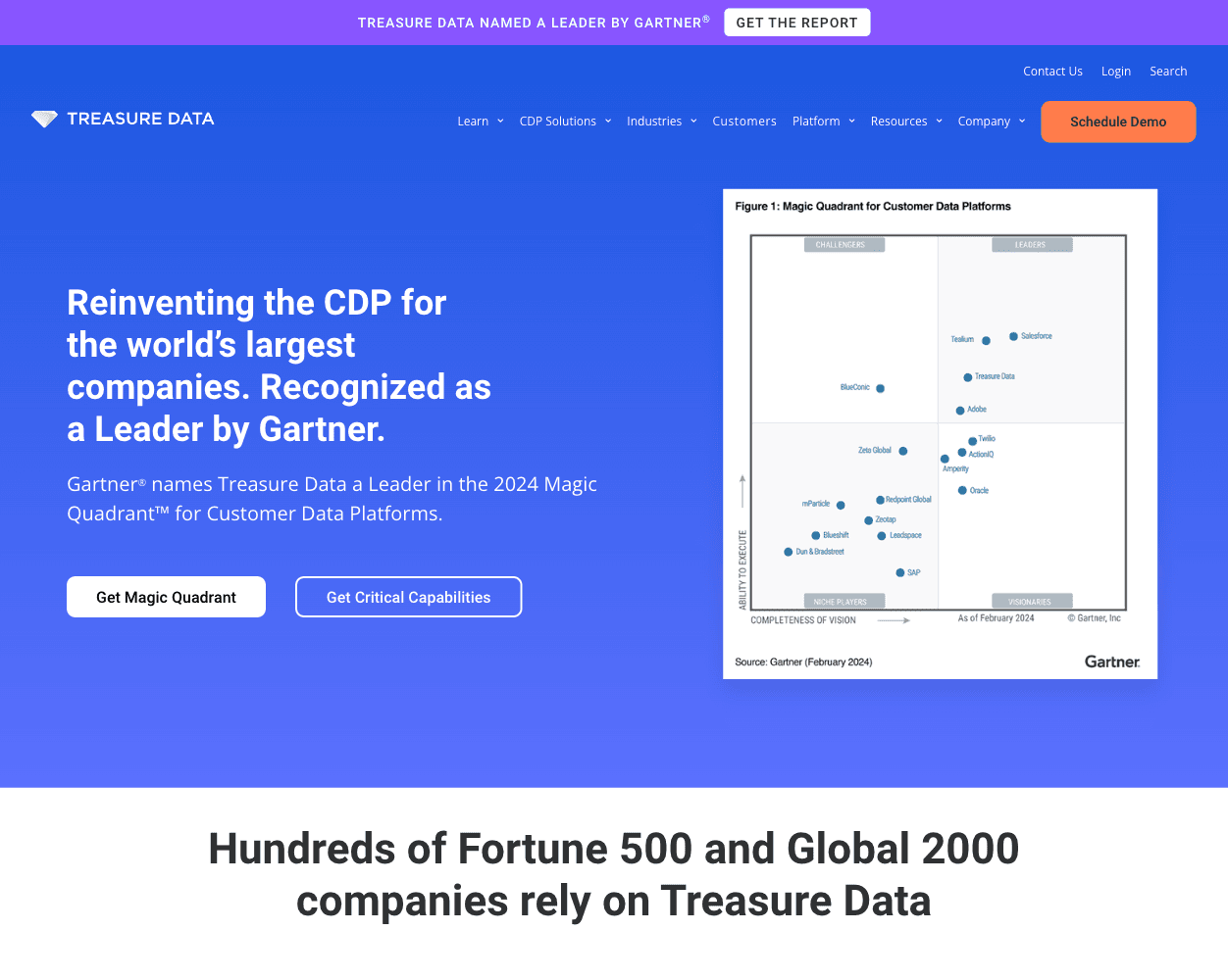 Screenshot of Treasure Data Website