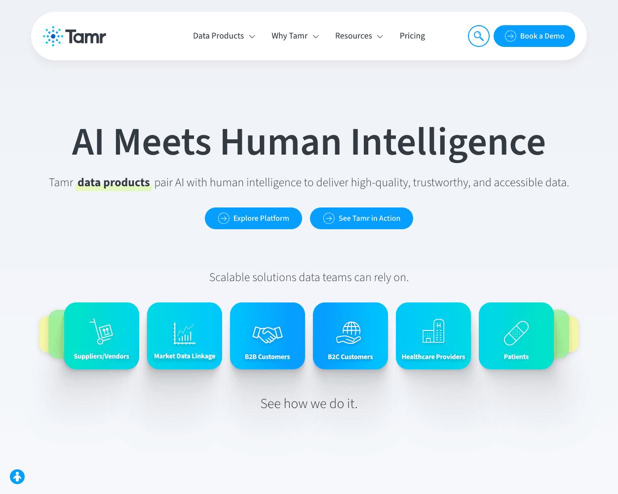 Screenshot of tamr Website