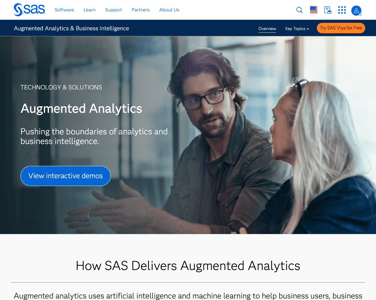 Screenshot of Sas Business Intelligence Website