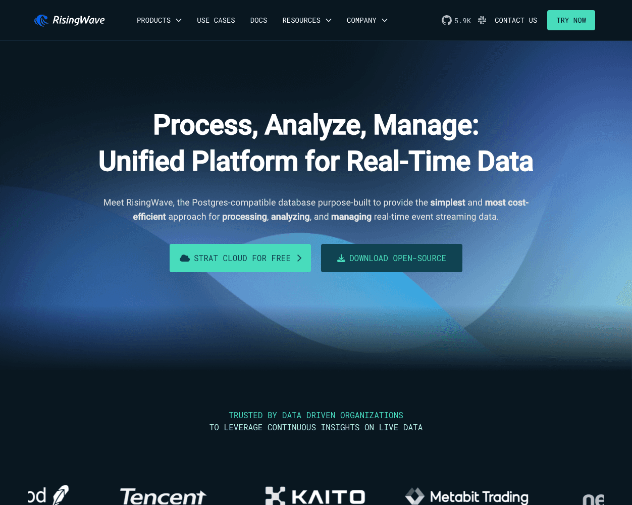 Screenshot of Rising Wave Labs Website