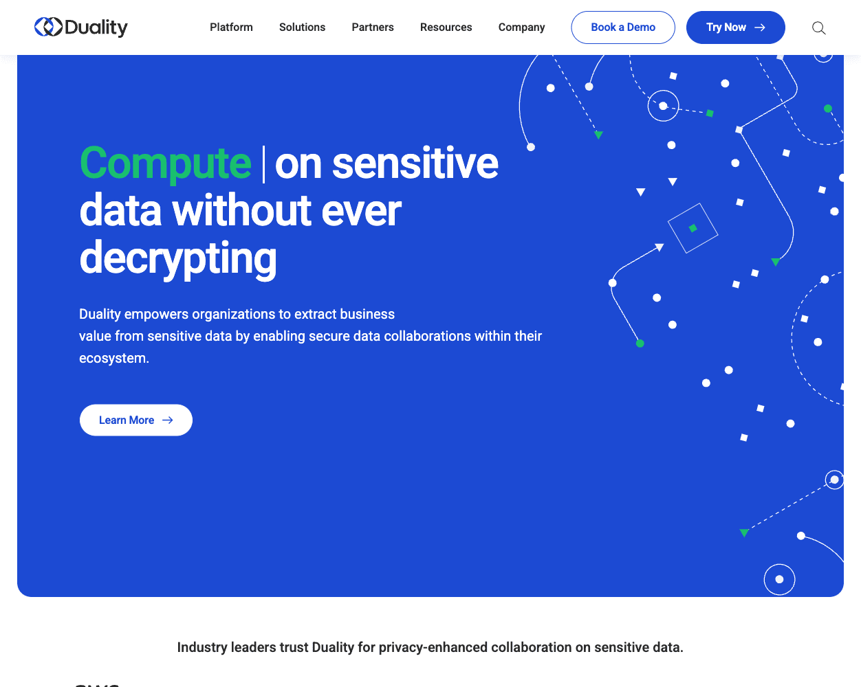 Screenshot of Duality Technologies Website