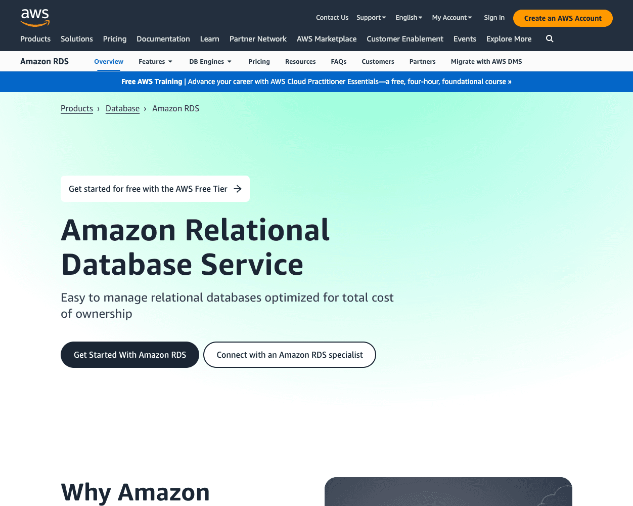 Screenshot of Amazon RDS Website