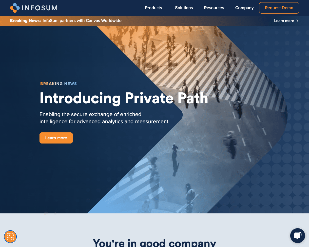 Screenshot of Infosum Website