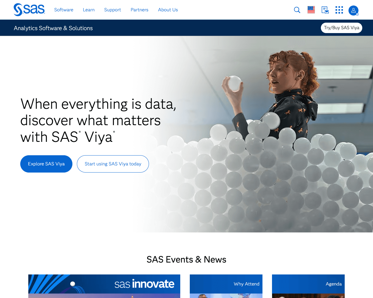 Screenshot of Sas Website