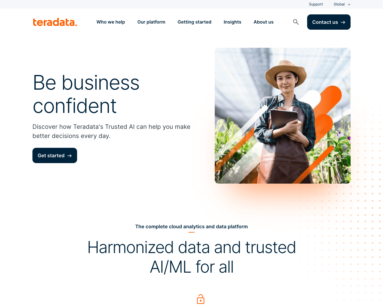 Screenshot of Teradata Website