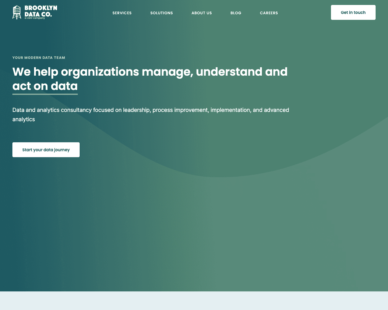 Screenshot of Brooklyn Data Co Website