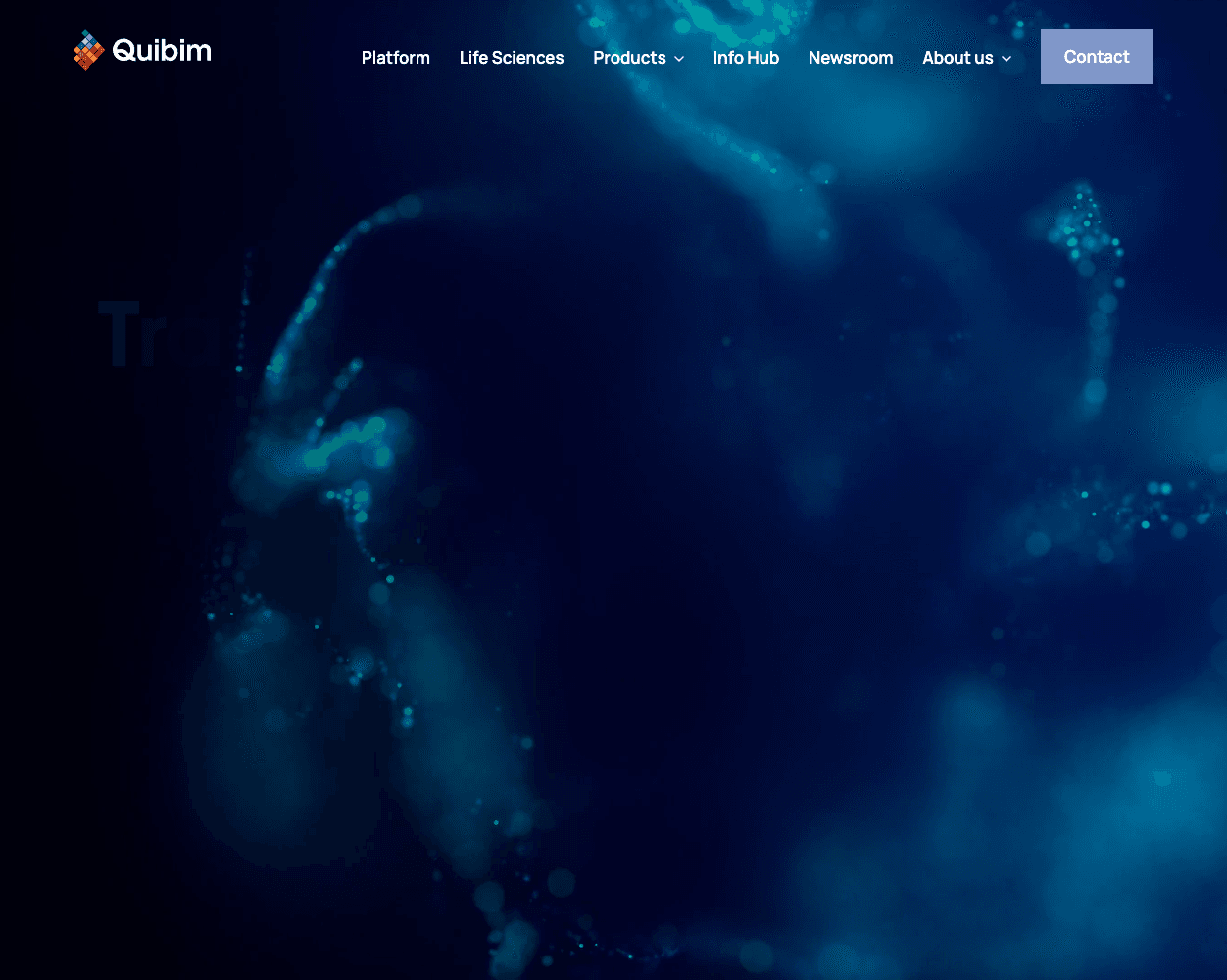 Screenshot of Quibim Website