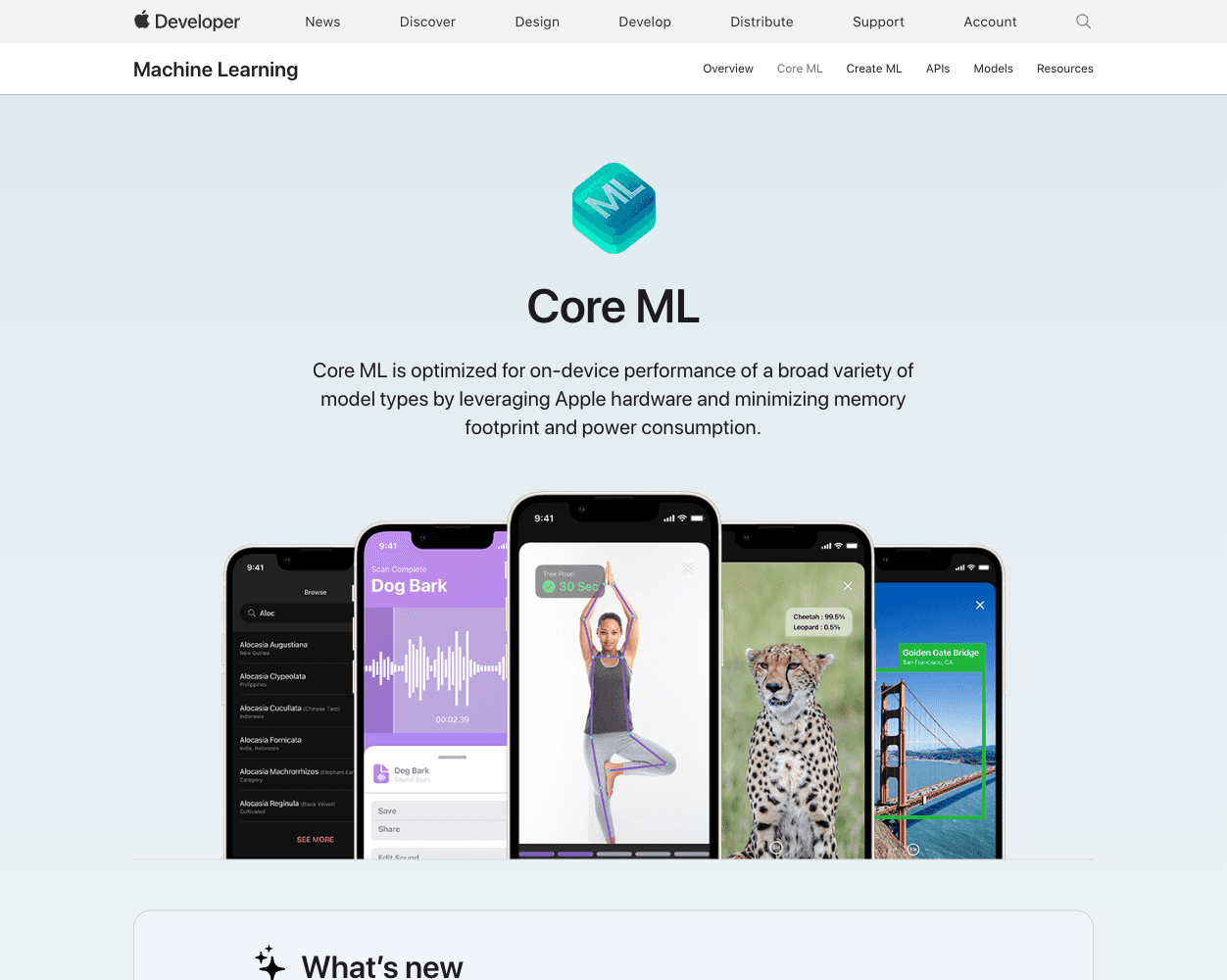 Screenshot of CoreML Website