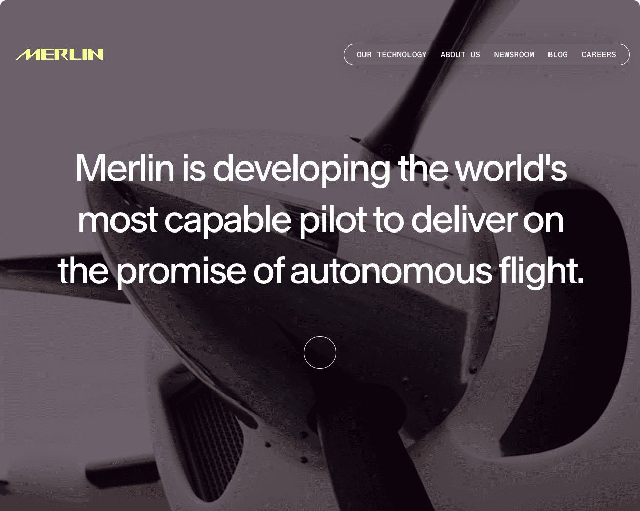 Screenshot of Merlin Labs Website