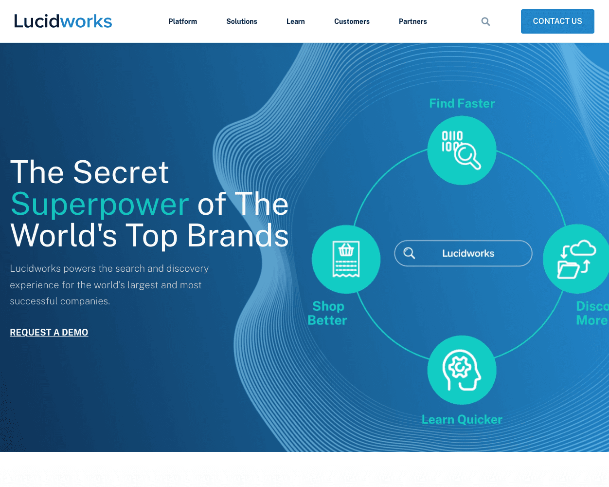 Screenshot of Lucidworks Website