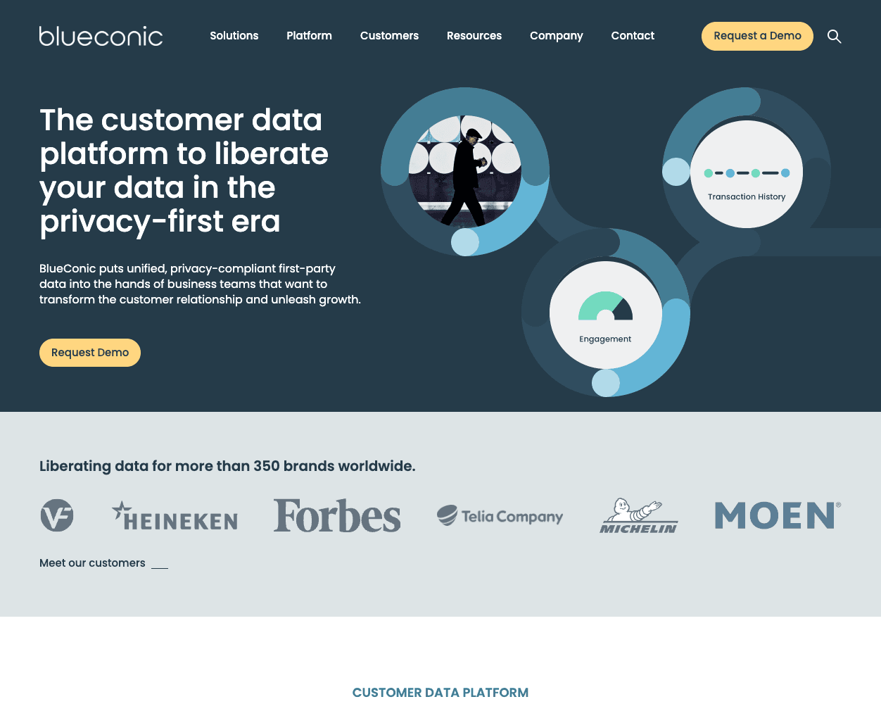 Screenshot of Blueconic Website