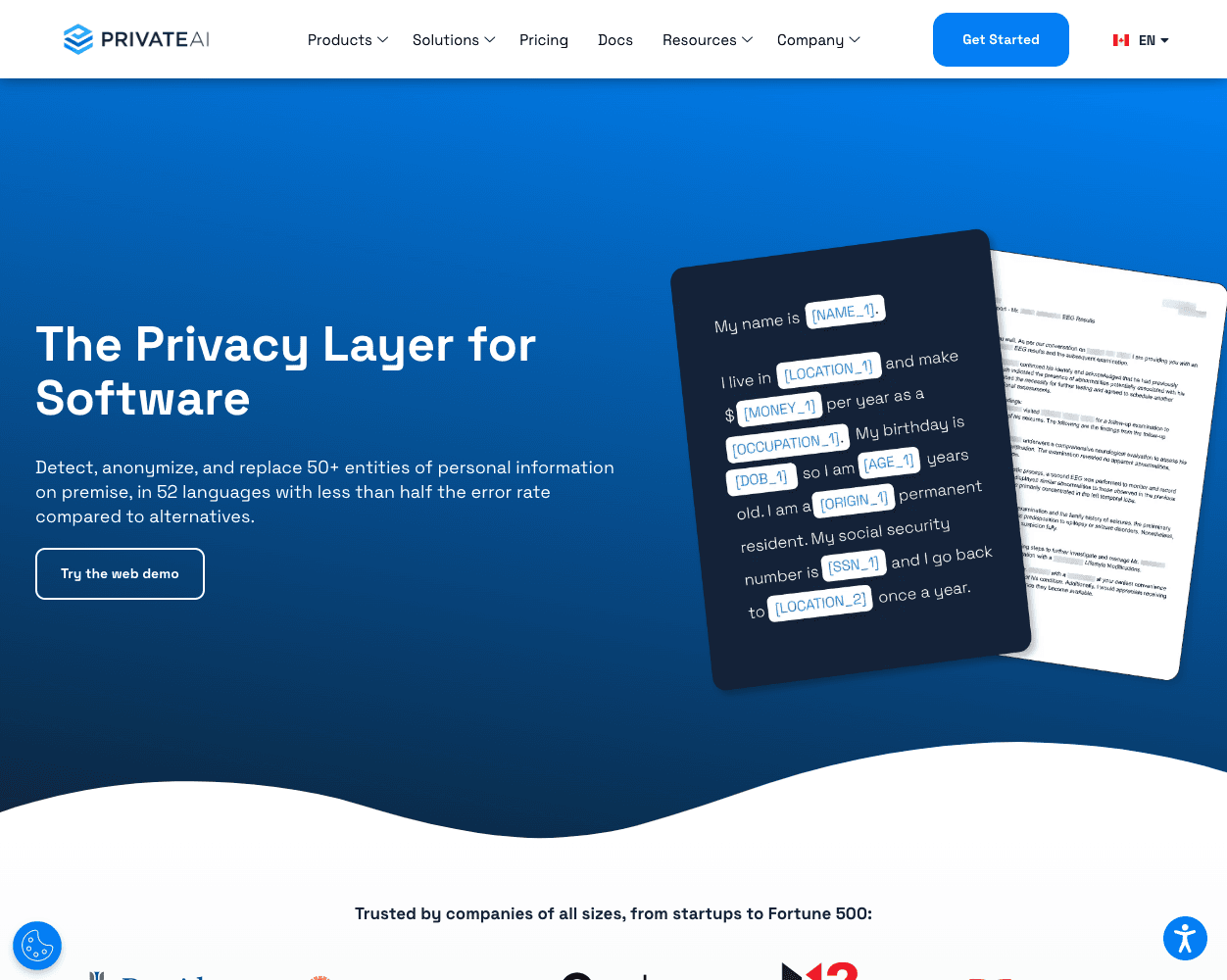 Screenshot of PrivateAI Website