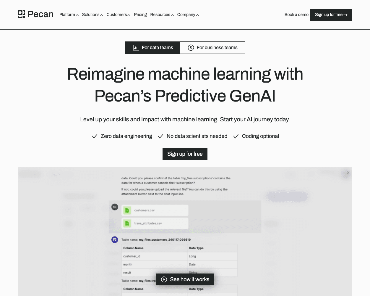 Screenshot of Pecan Website