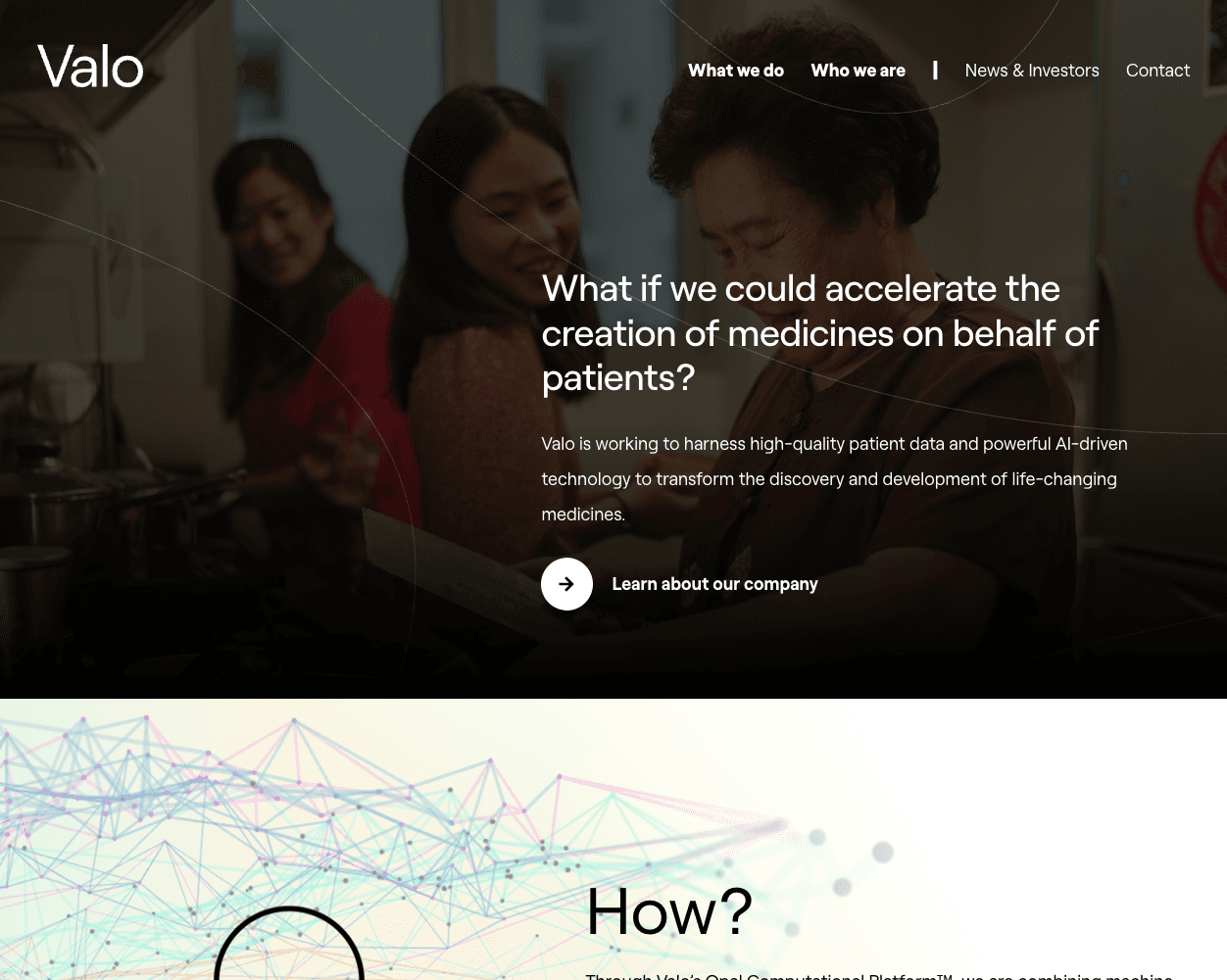 Screenshot of Valo Health Website