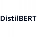 DistilBERT logo