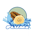 Flume logo