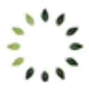 Taranis logo