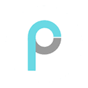 Pony.ai logo