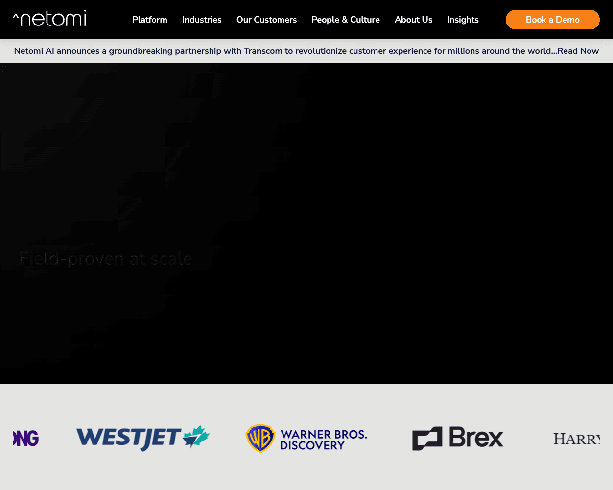 Netomi screenshot