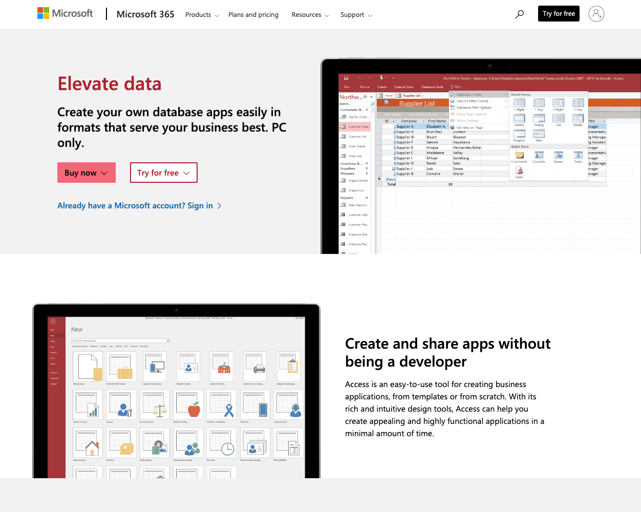 Microsoft Access screenshot