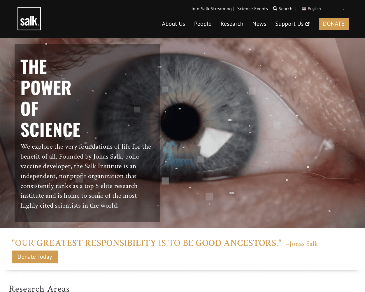 Salk screenshot