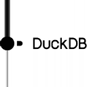DuckDB logo