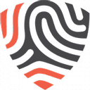 BigID logo