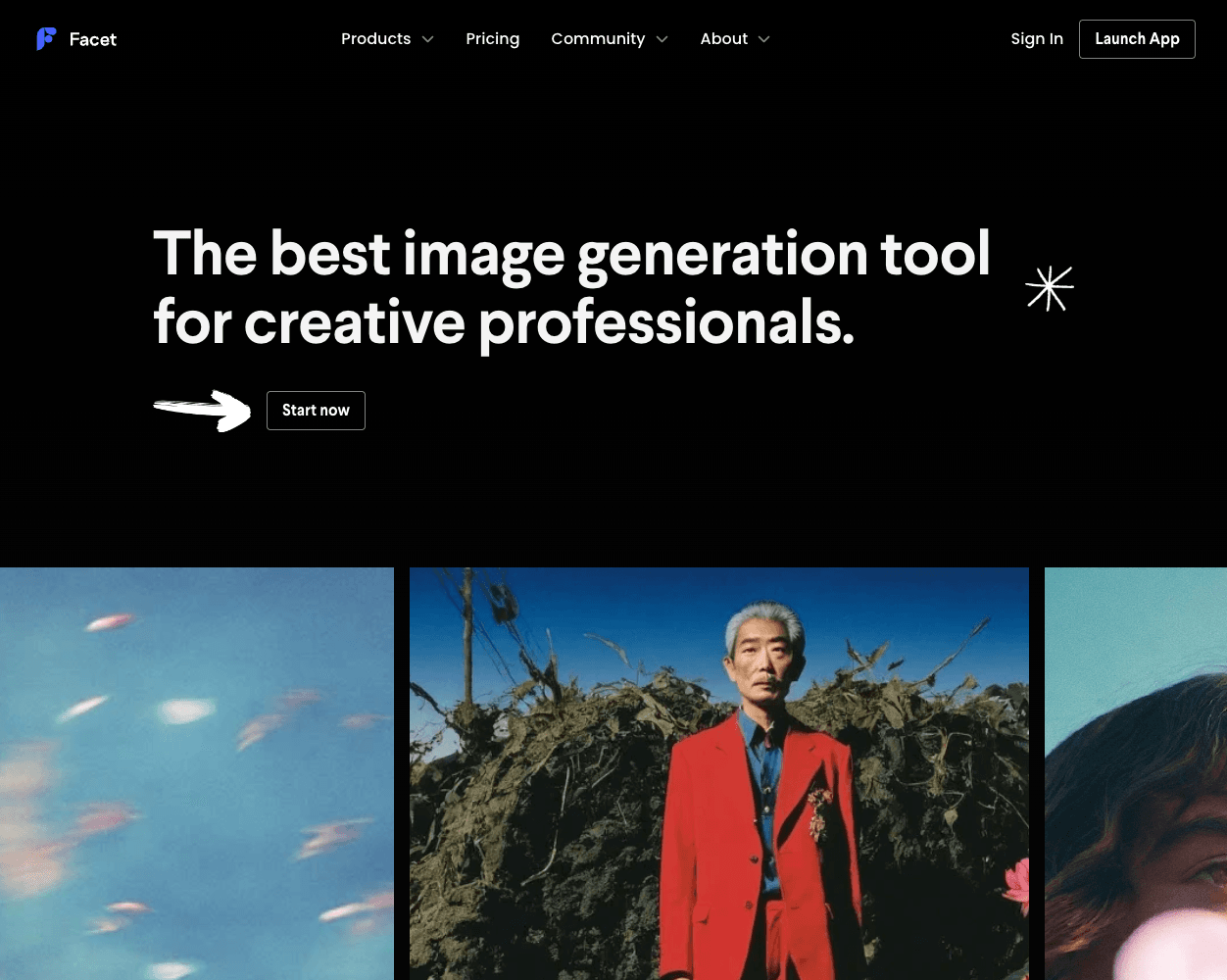 Facet screenshot