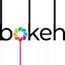 Logo of Bokeh