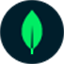 Logo of MongoDB