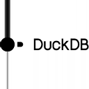 Logo of DuckDB